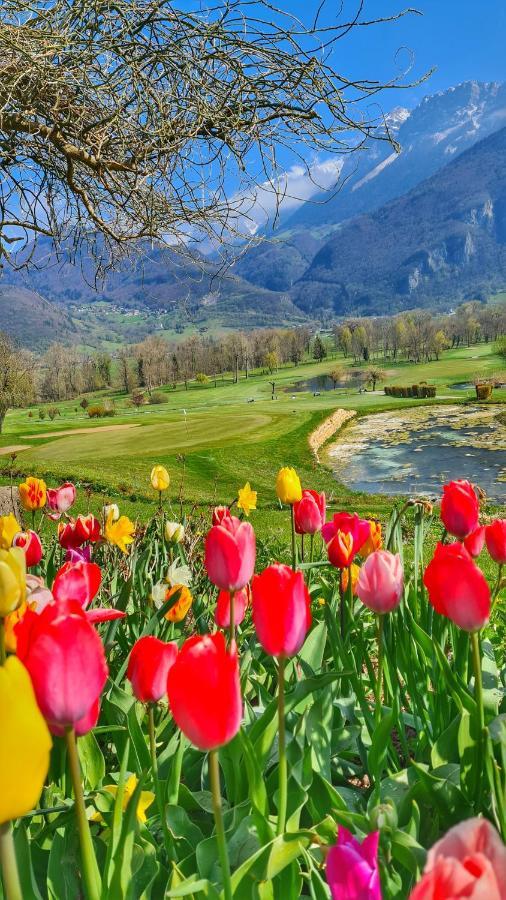 Manou Du Lac Annecy Doussard Εξωτερικό φωτογραφία